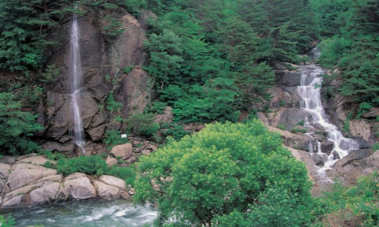 Wisata Alam Penuntungan