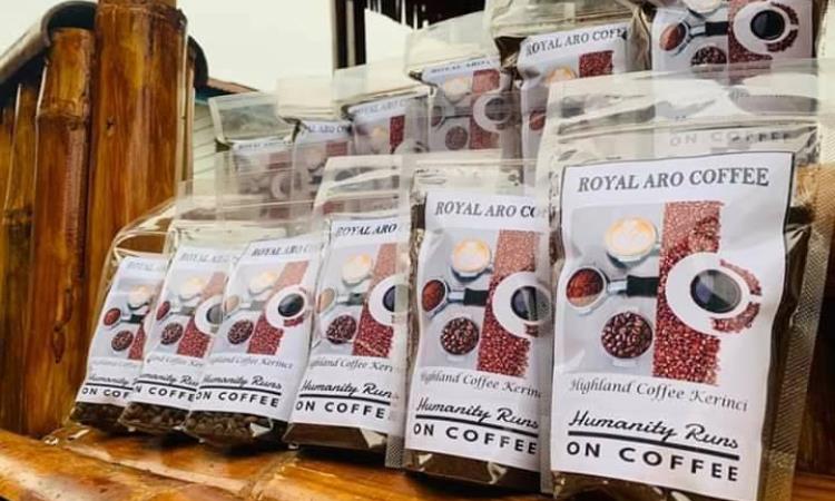 Coffe Kerinci Kayu Aro