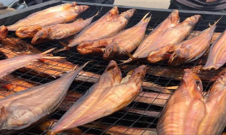 Ikan Asap Dari Jenis Lain