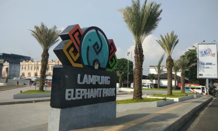 Lampung Elephant Park
