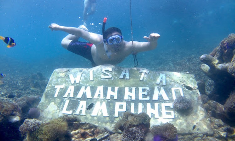 Taman Bawah Laut Nemo
