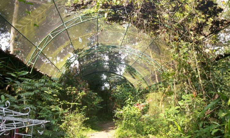 Taman Kupu-Kupu Gita Persada