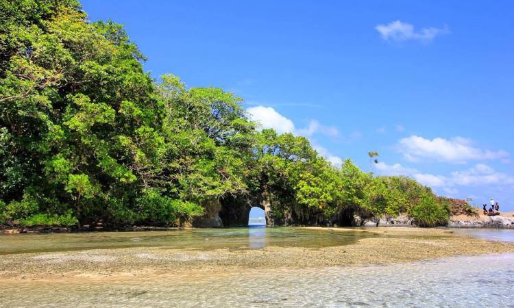 Daya Tarik Dimiliki Pulau Enggano