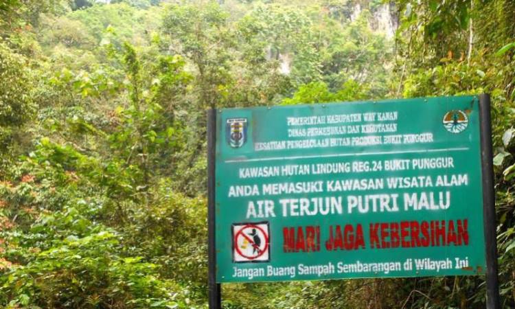 Alamat Air Terjun Putri Malu