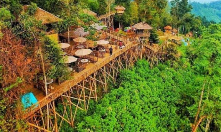 Alamat Rumah Pohon Habitat