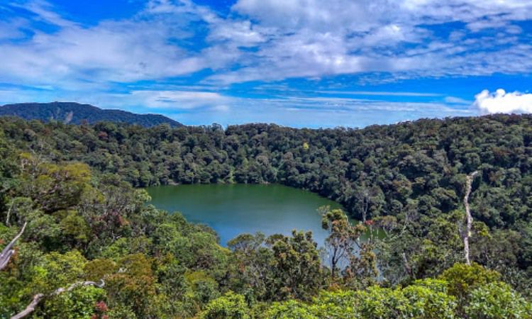 Daya Tarik Bukit Daun