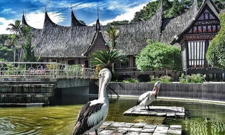 Daya Tarik Kebun Binatang Bukittinggi