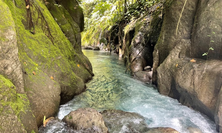 Daya Tarik Kolam Abadi Langkat