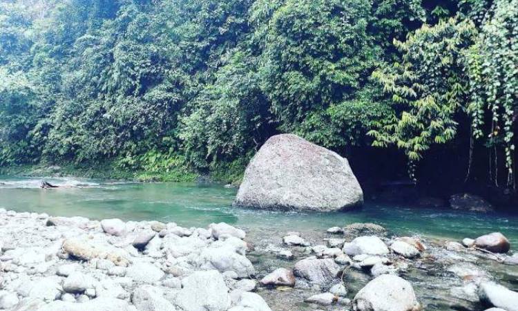 Daya Tarik Pantai Florida