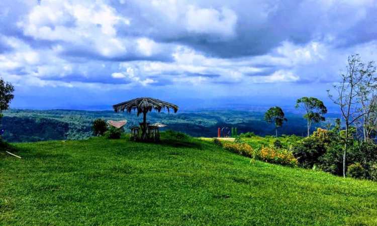 Daya Tarik Puncak Akui