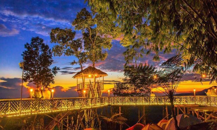 Daya Tarik Rumah Pohon Habita