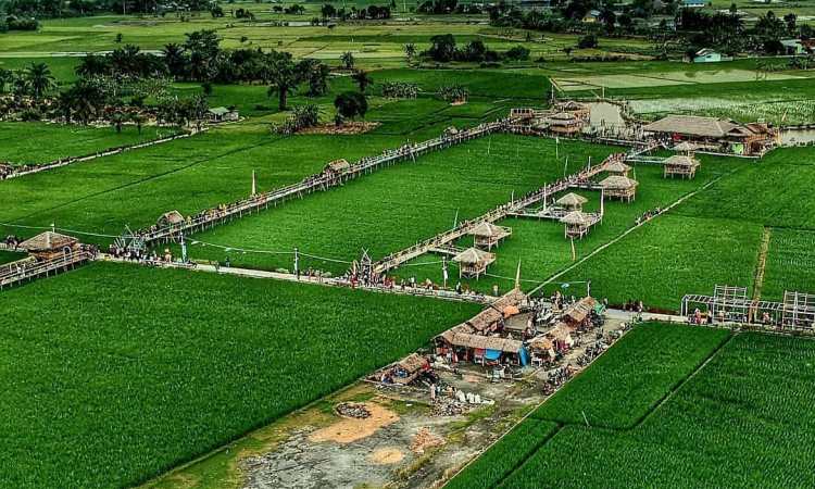 Daya Tarik Wisata Sawah Pematang Johar