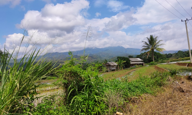 Fasilitas Air Terjun Putri Malu Lampung