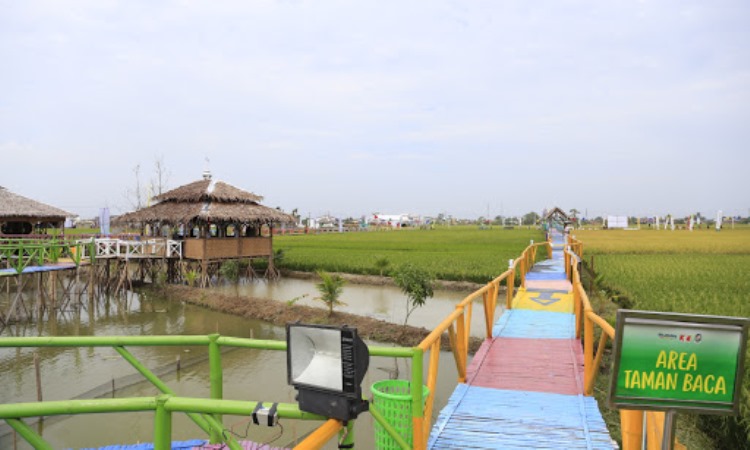 Fasilitas Sawah Pematang Johar