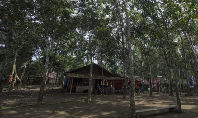 Fasilitas di Air Terjun Tongkat