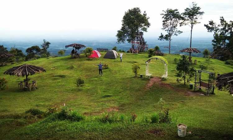 Harga Tiket Puncak Akui