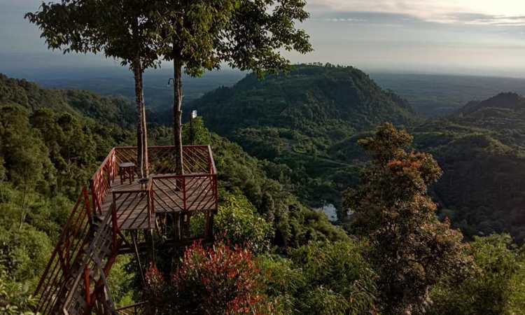 Harga Tiket Rumah Pohon Habitat