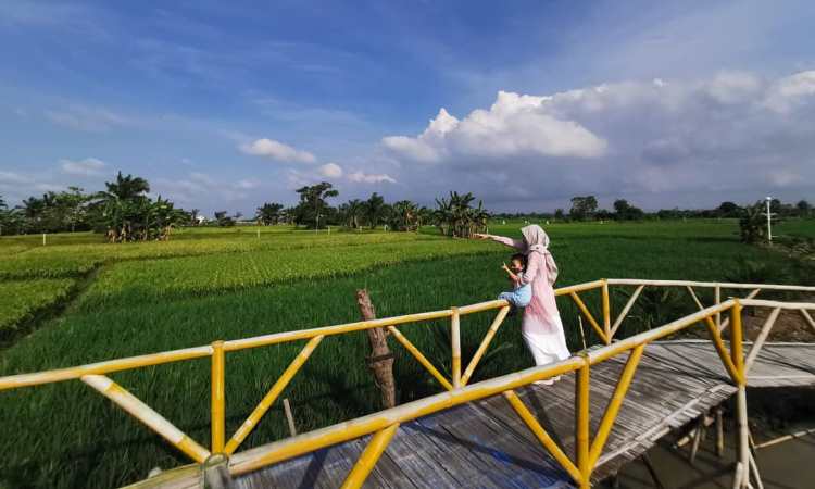Kegiatan Menarik di Kampung Wisata Sawah
