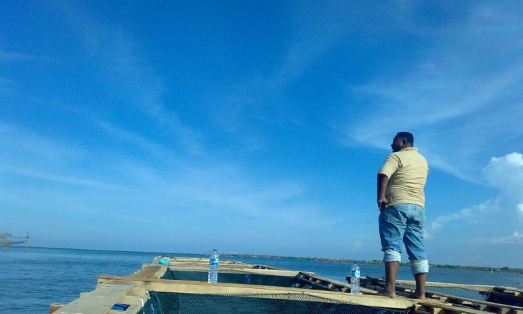 Kegiatan di Pulau Sembilan