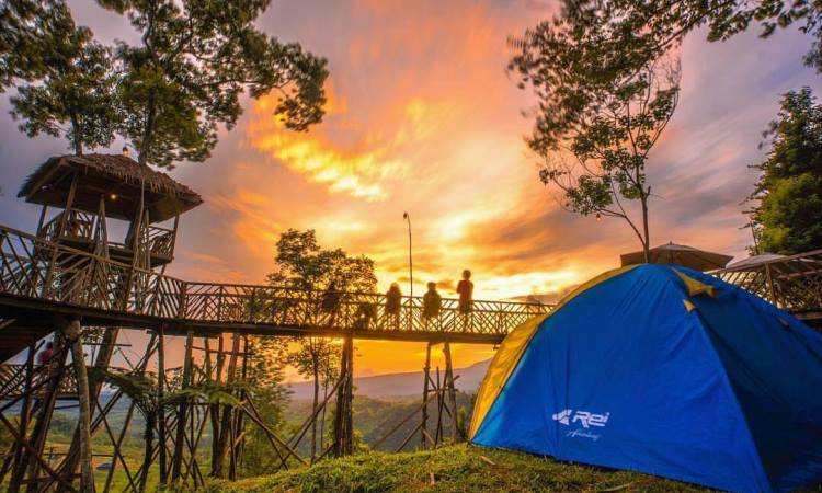 Kegiatan di Rumah Pohon Habitat