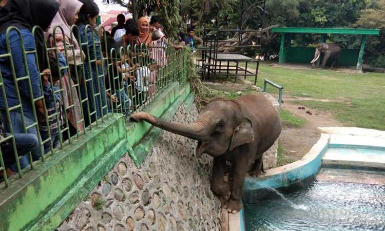 Kegiatan di Taman Margasatwa