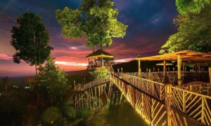 Rumah Pohon Habitat, Panorama Alam Langkat yang Menakjubkan