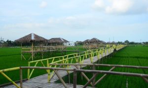 Kampung Wisata Sawah Pematang Johar, Destinasi Wajib Penikmati Kuliner & Wisata Selfi