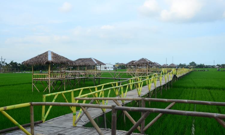 Kampung Wisata Sawah Pematang Johar, Destinasi Wajib Penikmati Kuliner & Wisata Selfi