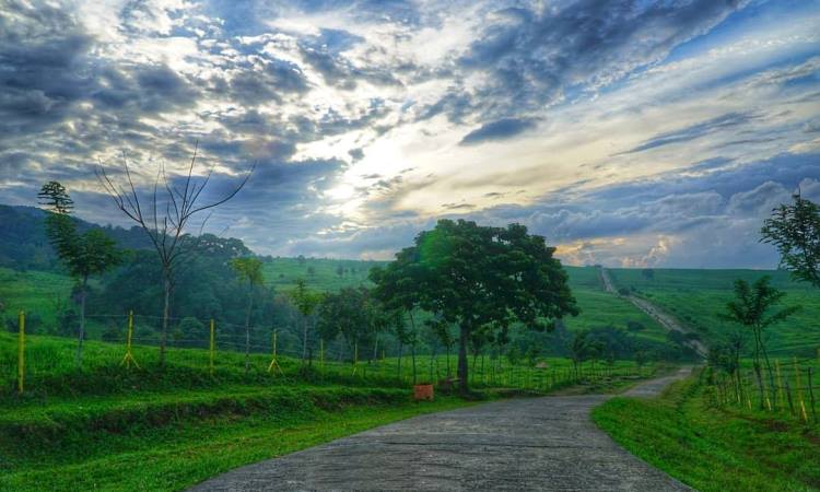 Alamat Padang Mangateh