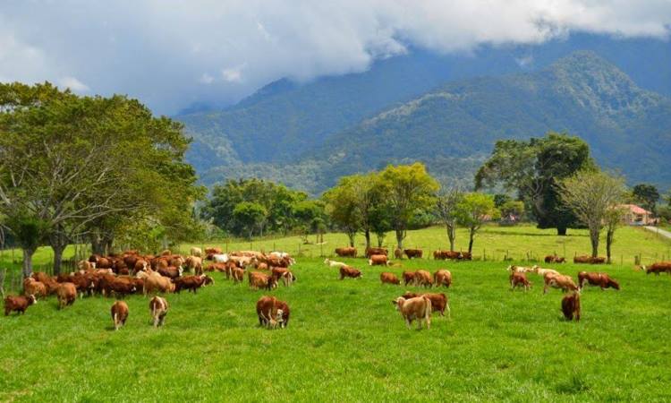 Daya Tarik Padang Mangateh