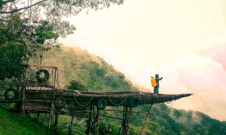 Kegiatan Menarik di Lawang Park