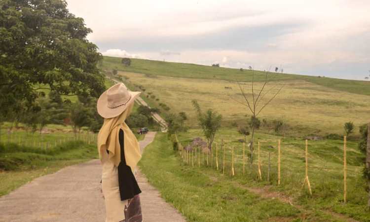 Kegiatan di Padang Mangateh