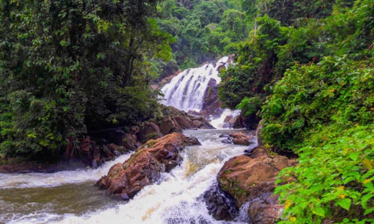 Air Terjun Curup Tujuh