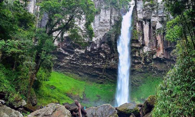 Air Terjun Putri Malu