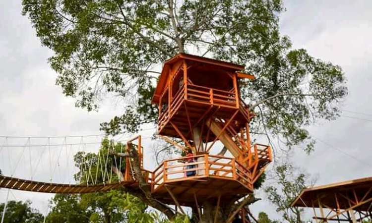 Daya Tarik Dimiliki Bukit Cinangkiak