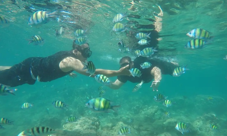 Kegiatan Menarik di Pulau Mandeh