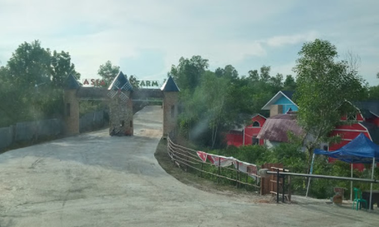 Alamat Asia Farm Hayday