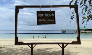 Bintan Blue Coral, Menikmati Panorama Alam Hutan Pinus Sembari Kulineran