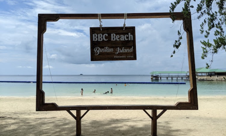 Bintan Blue Coral, Menikmati Panorama Alam Hutan Pinus Sembari Kulineran