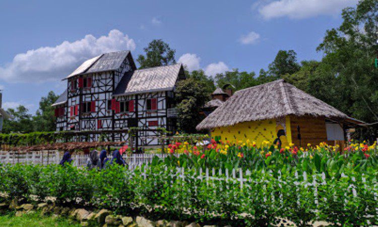 Daya Tarik Asia Farm Hayday