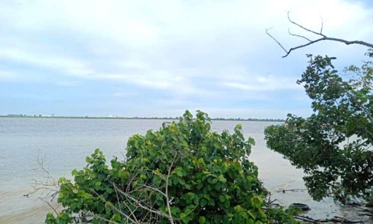 Daya Tarik Pulau Payung