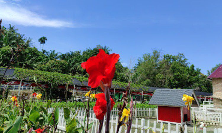 Fasilita Tersedia di Taman Alam Mayang