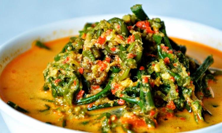 Gulai Paku