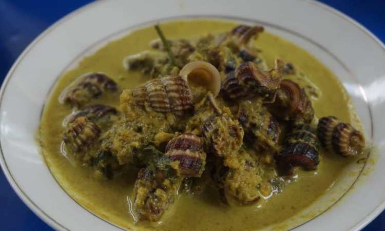 Gulai Siput