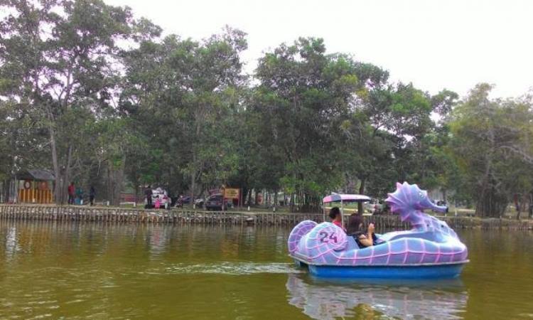 Kegiatan Menarik di Alam Mayang