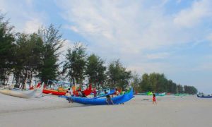 Pantai Tambak, Pesona Pantai Pasir Putih & Pohon Cemara di Belitung Timur