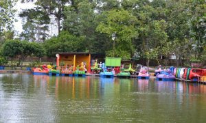 Taman Alam Mayang, Tempat Rekreasi Favorit Liburan Keluarga di Pekanbaru