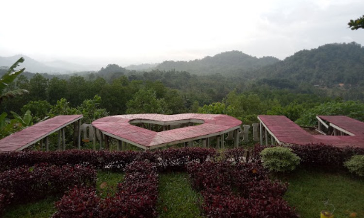 Daya Tarik Dimiliki Bukit Pangonan