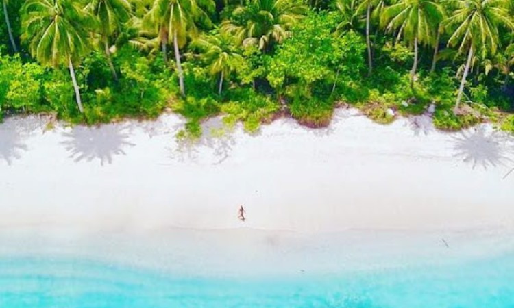 Daya Tarik Dimiliki Pulau Siberut