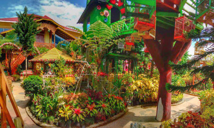 Daya Tarik Green House Lezatta